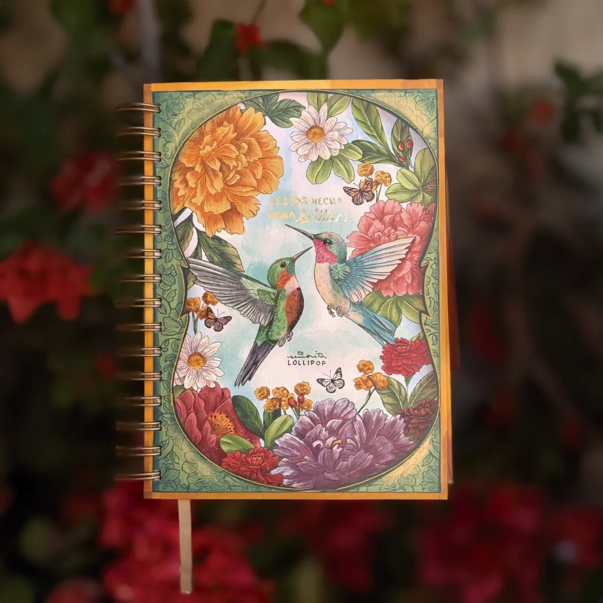 AGENDA COLIBRÍ